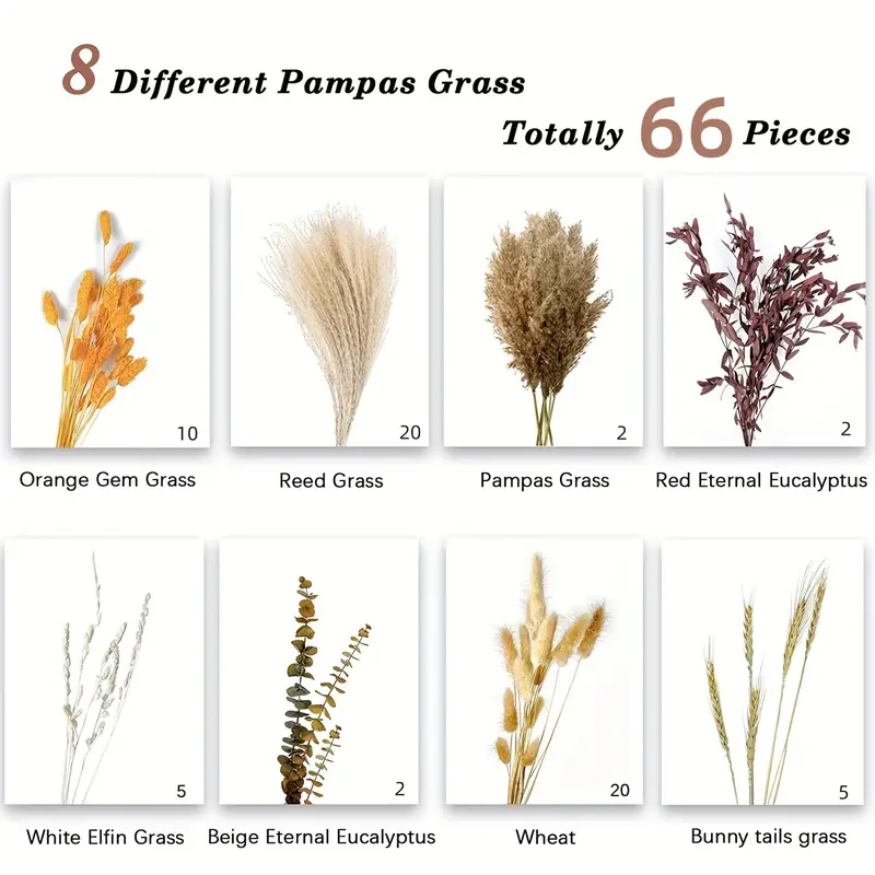 66-piece pampas reed decoratio - огляд і ціна Pampas Grass Decor