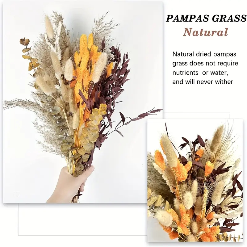 66-piece pampas reed decoratio - огляд і ціна Pampas Grass Decor